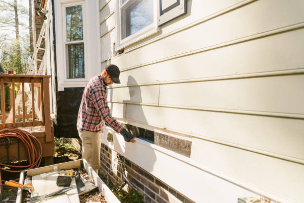 Top rated local Siding Replacement specialists in Dolphin, VA